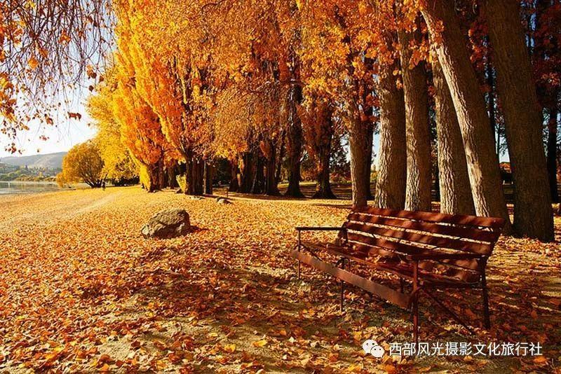 亚美尼亚科泰克州白雪皑皑 民众漫步白雪世界