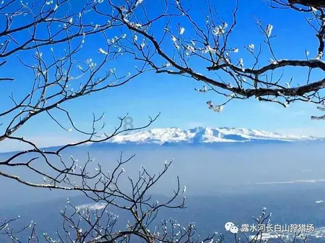 消逝的光芒