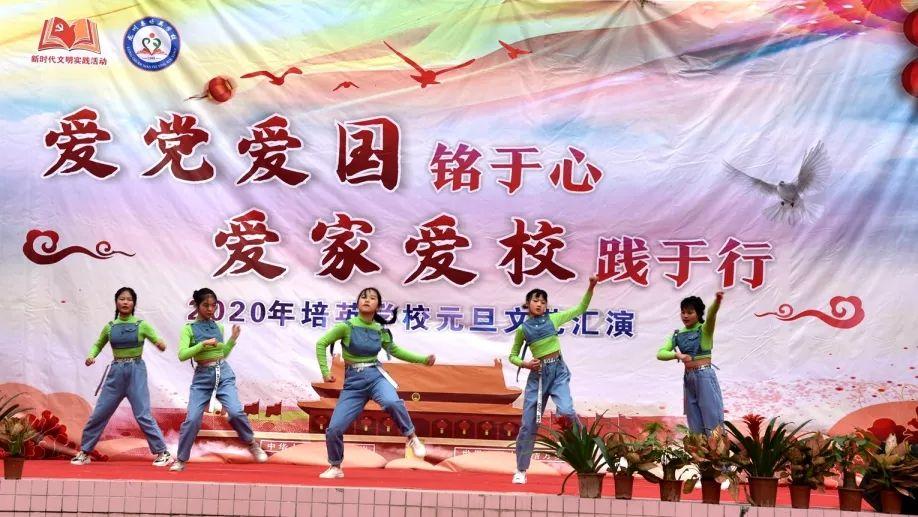哈尼和她的宠物们